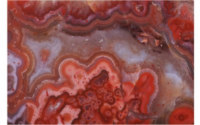 Red Moss Agate – Earth meets Fire