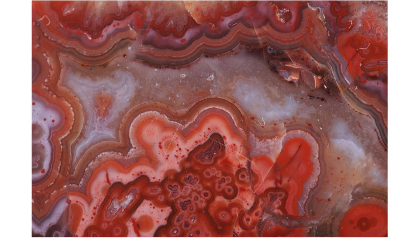 Red Moss Agate Gemstone Raw Close Up