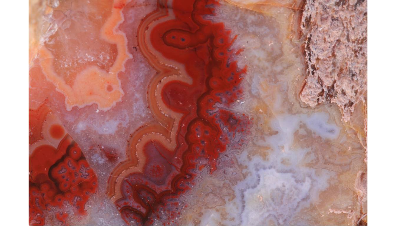 Red Moss Agate Specimen