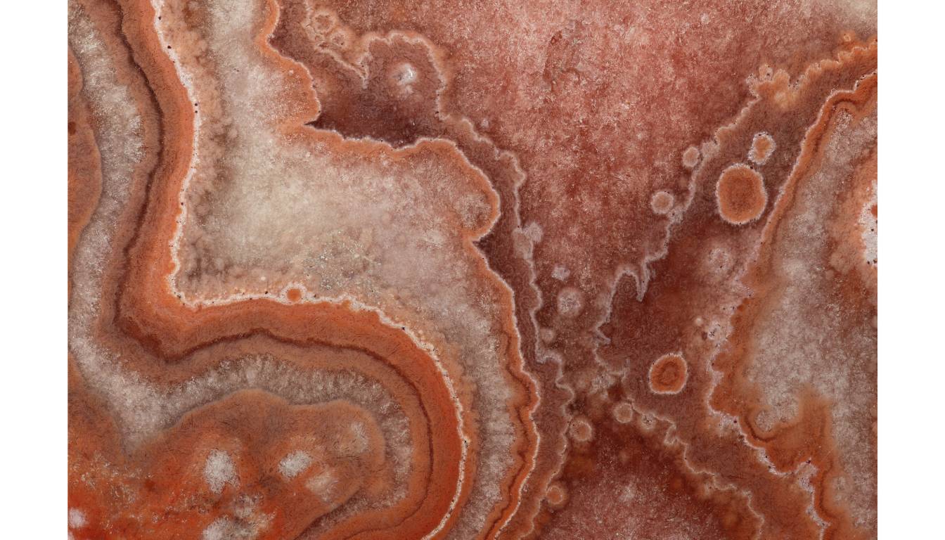Red Moss Agate Close up