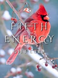 Fifth Energy Winter Gift Card Cardinal on snowy branch
